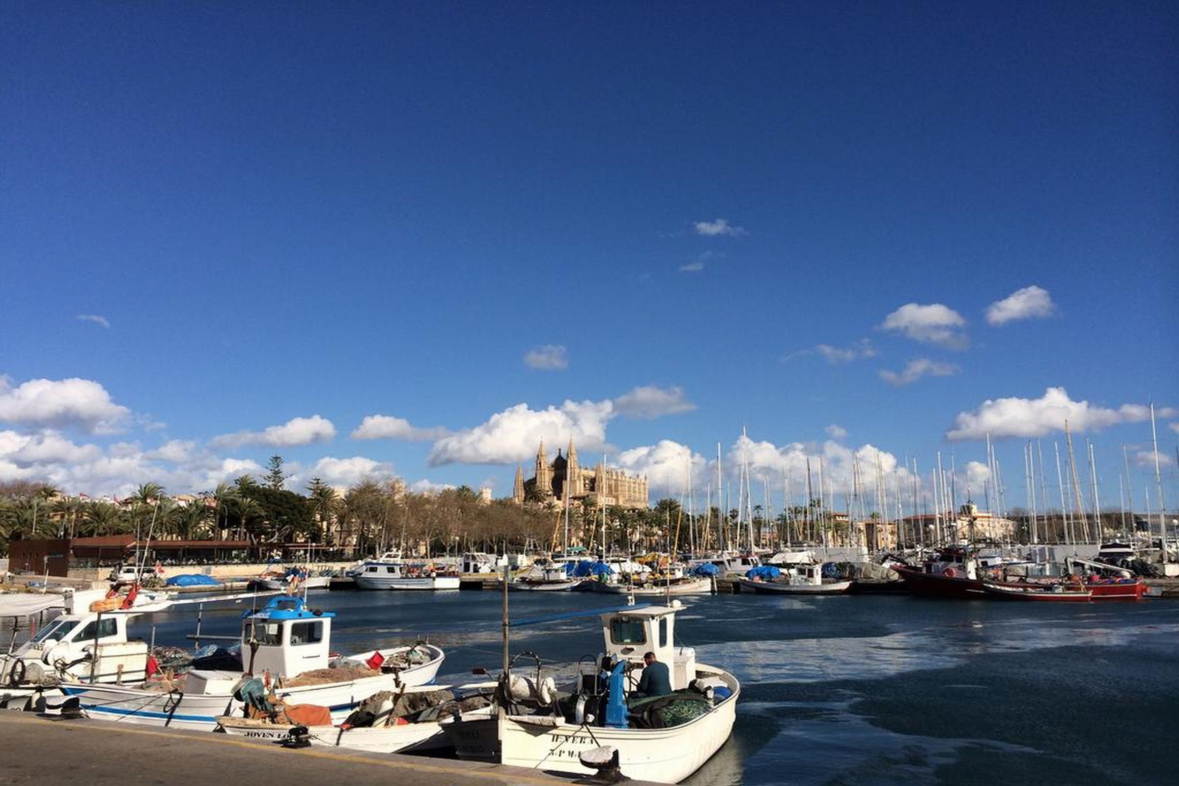 Icon Roseto Palma di Maiorca